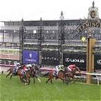lets elope stakes bet on